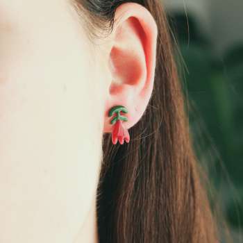 Tulipanes Mini Rojos