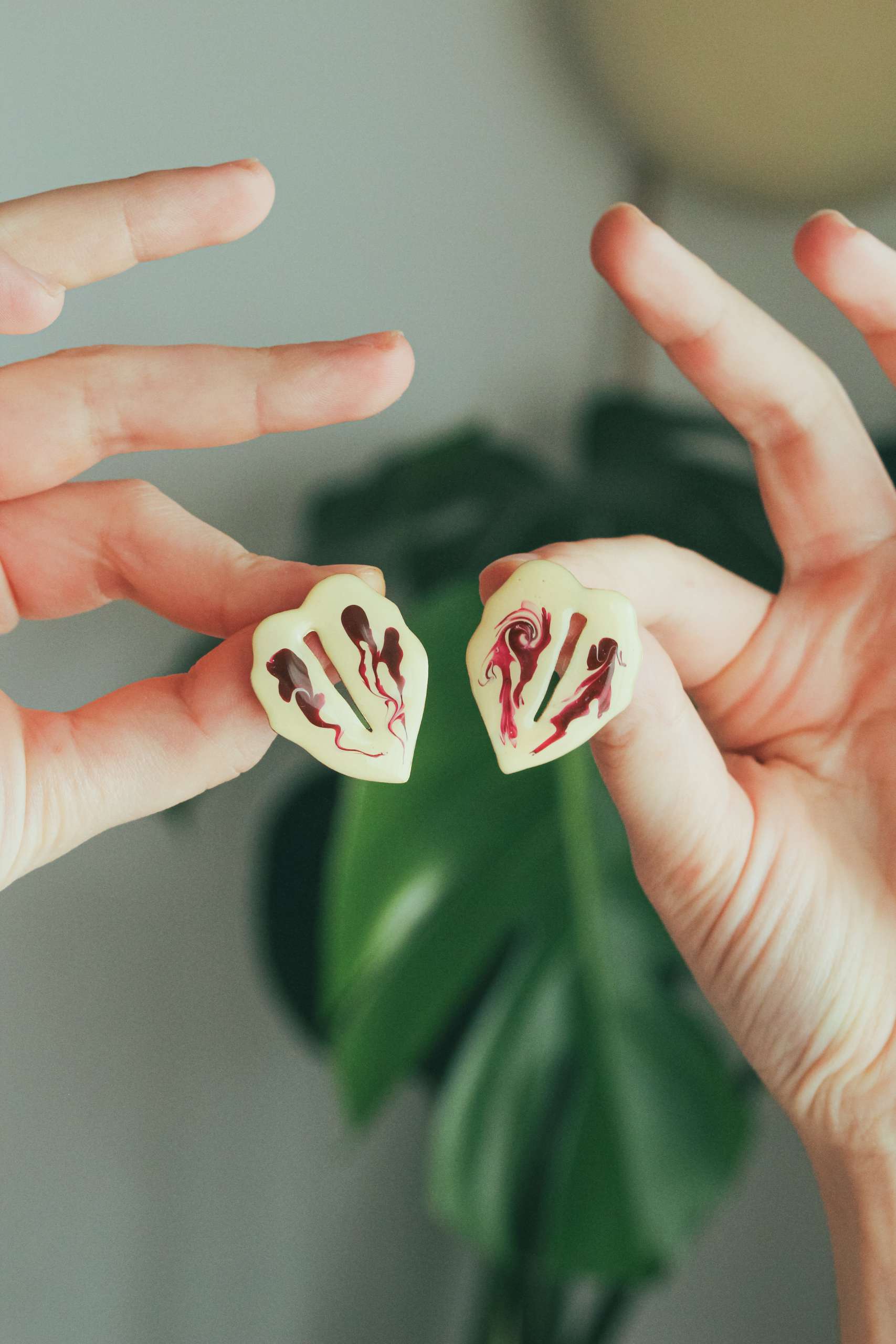 Hojas variegadas grandes