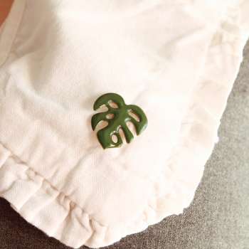 Pin monstera